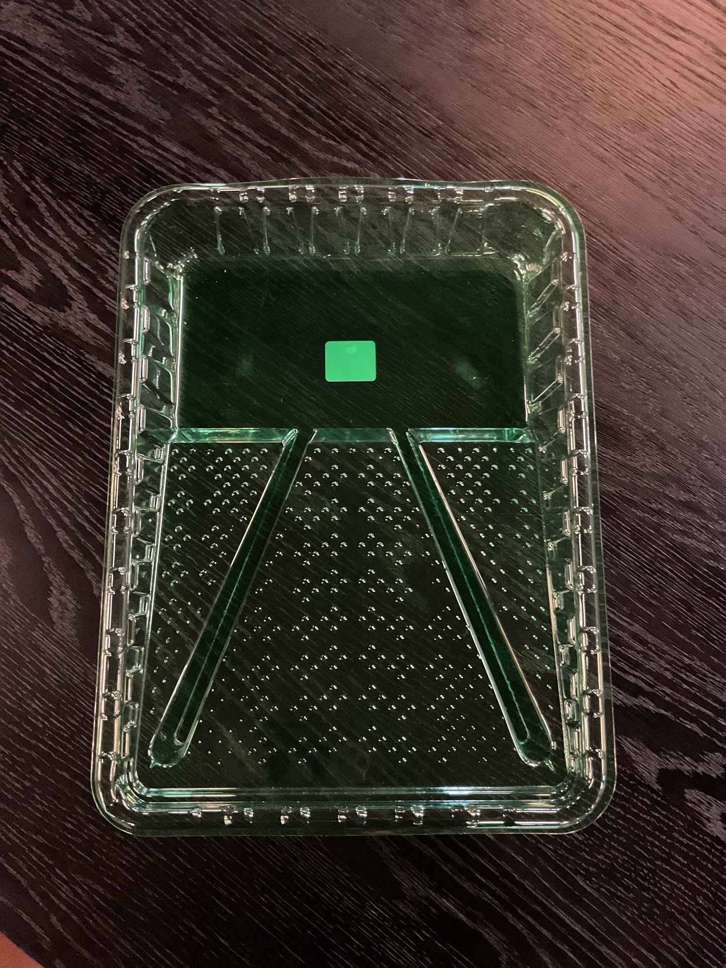Green Paint Tray