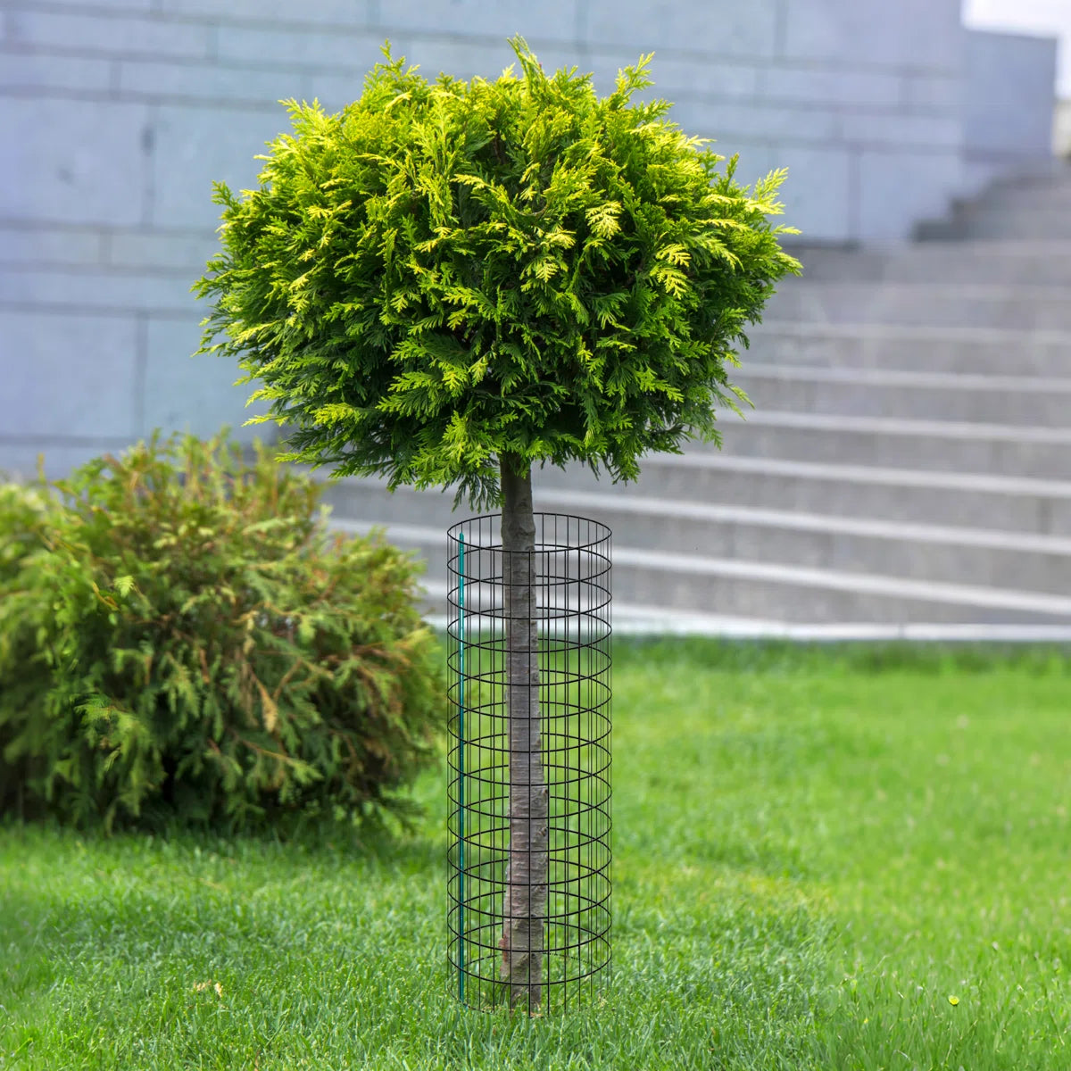 16 Gauge Welded Wire Mesh Fence