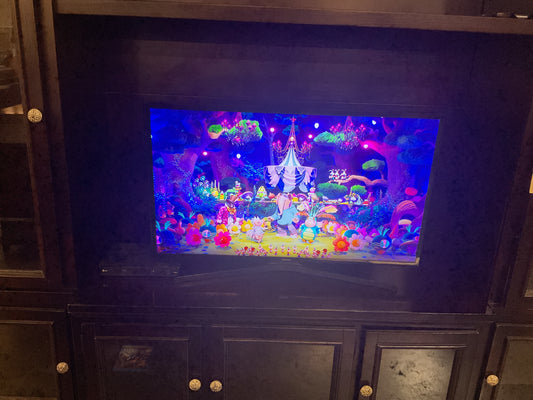 Samsung 42” Television w/Remote