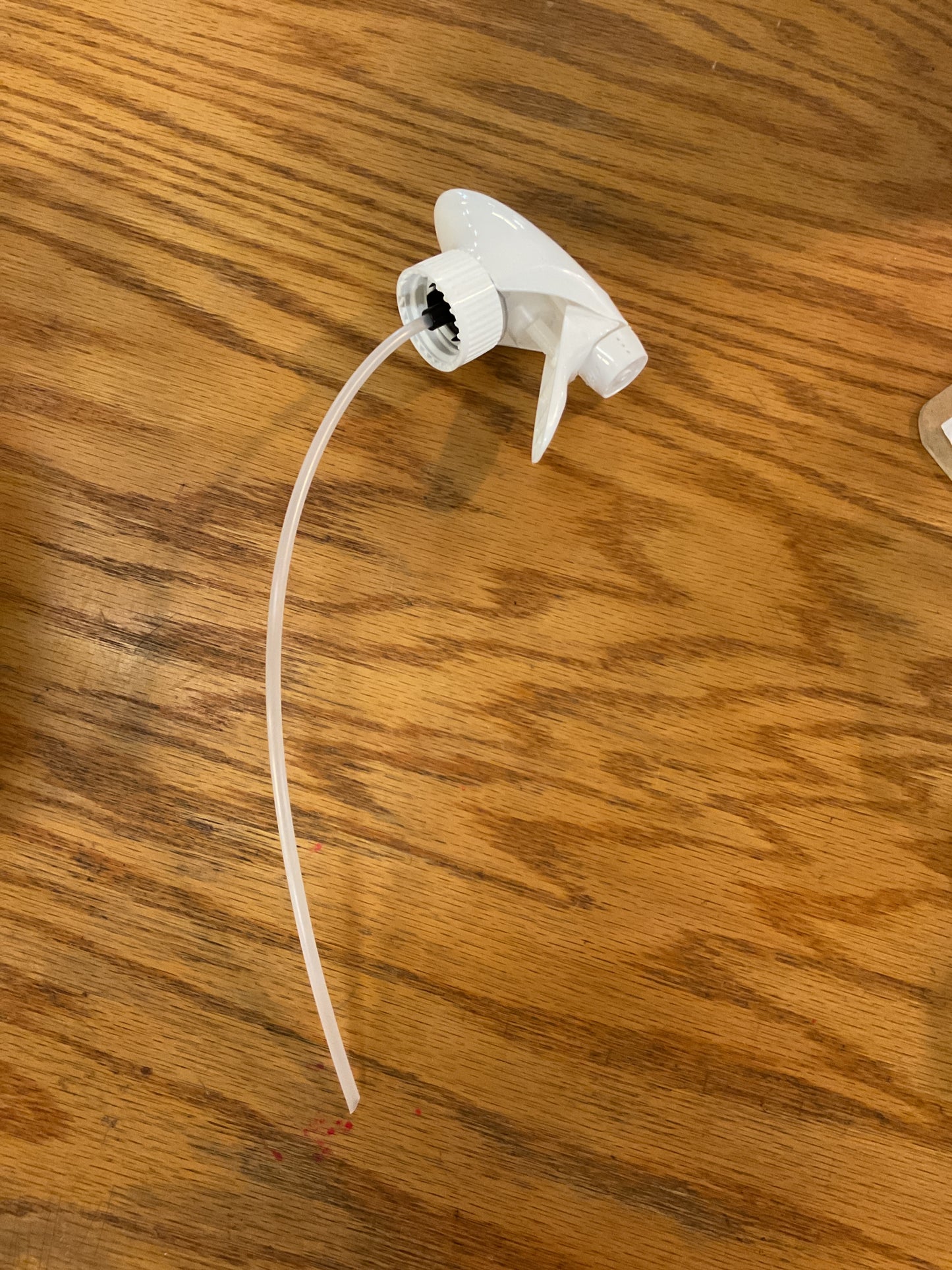 Eco Defense Lice Protection Spray