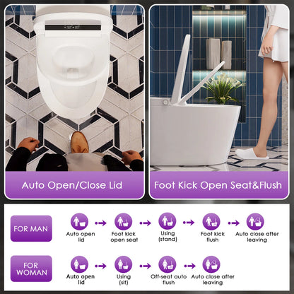 DeerValley Smart Bidet w/Auto Open & Close